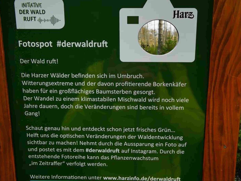 Social Media Projekt im Nationalpark Harz