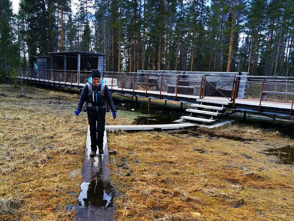 Myrslingan Rund Wandern im Hamra Nationalpark in Schweden