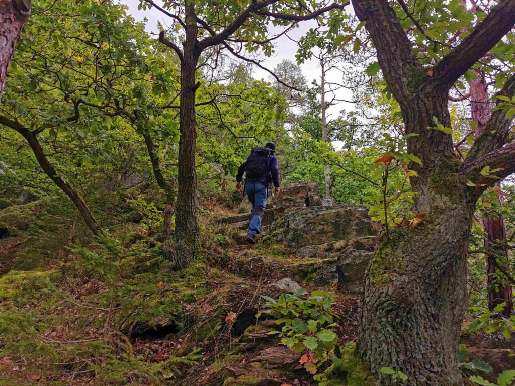 Ein wenig erinnert uns die Gegend im Schwarzatal an die Sächsische Schweiz.