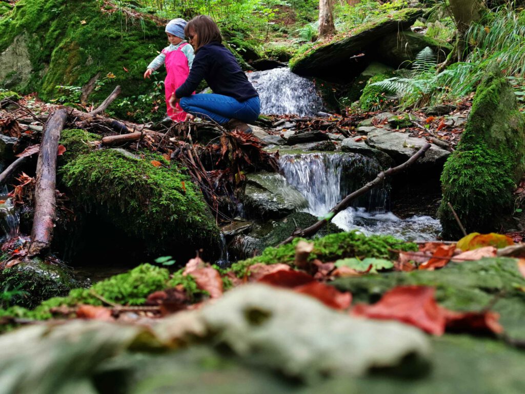 Der kleine Bachlauf im Wald hat uns bei der Wandertour als Rastplatz gedient.