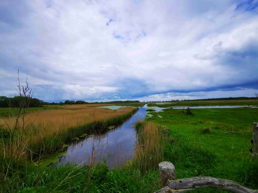 Wassergraeben entlang der Salzwiesen