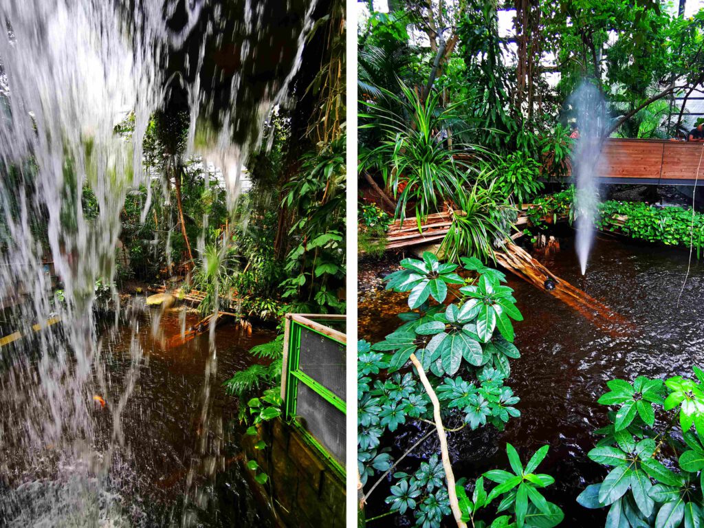 Wassserfall Geysir im Eingangsbereich der Biosphaere