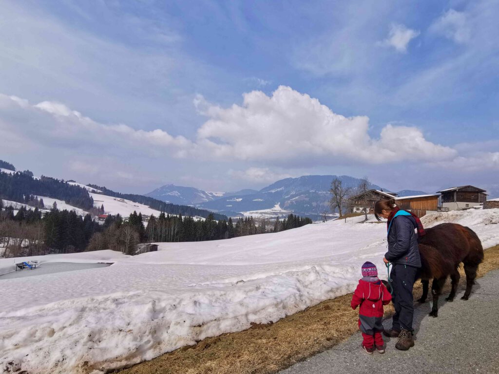 Abenteuer Lama Trekking in den Bergen von Österreich. 