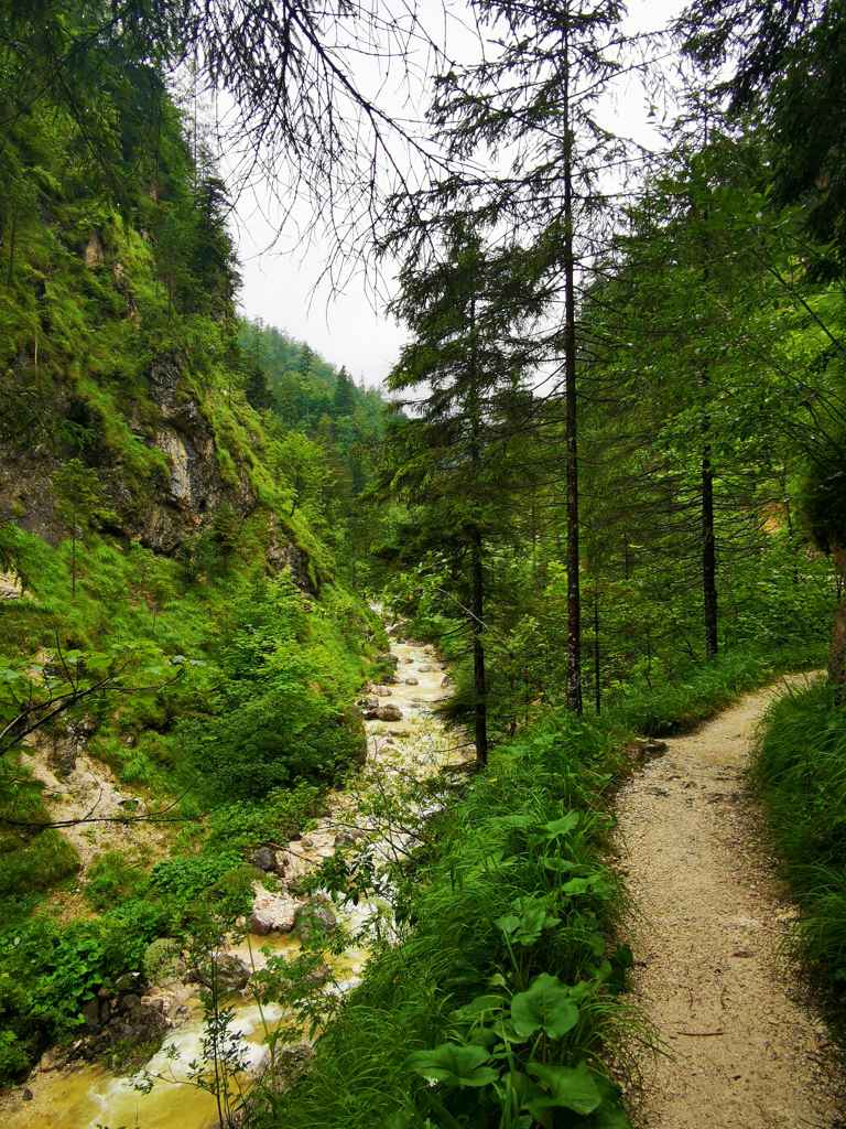Albchklamm Nationalpark Berchtesgaden Wanderung Ausflugstipp Klamm 01