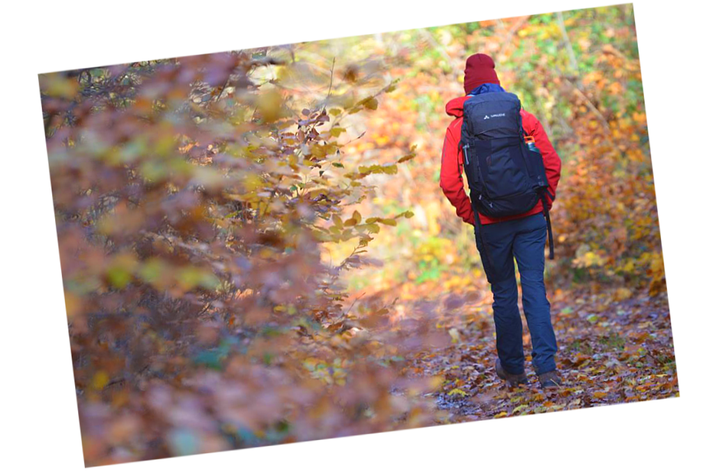 Wandertipp Leichte Familientaugliche Rundwanderung Jena Hochlandrinder Steinbruch Ausflugstipp