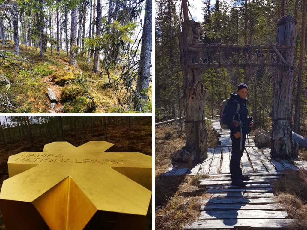 Hamra Nationalpark Schweden Wandertipps 2 Mittelschweden Urskoglingan Rund