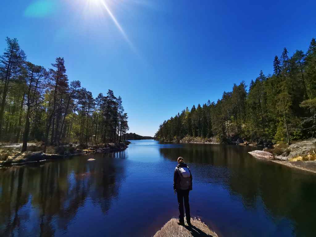 Der Tresticklans Nationalpark. Einzigartige Wälder an der Grenze Norwegens.