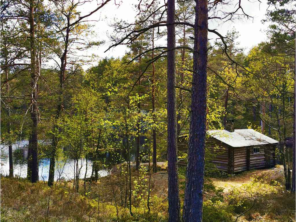 Tresticklans nationalpark Wandertipps Wanderung Schweden Stora Tresticklan Angeln Huette