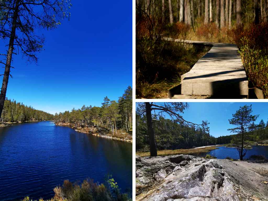 Tresticklans nationalpark Wandertipps Wanderung Schweden